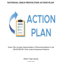 BVI Action Plan Report Oct 2019